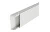 Distribution Mini-Trunking DLP-S, 50x20mm, L2m, white